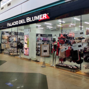 El Palacio del Blumer
